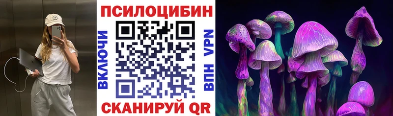Галлюциногенные грибы Psilocybe  блэк спрут зеркало  Северо-Курильск 